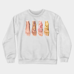 Foot Anatomy Chart Crewneck Sweatshirt